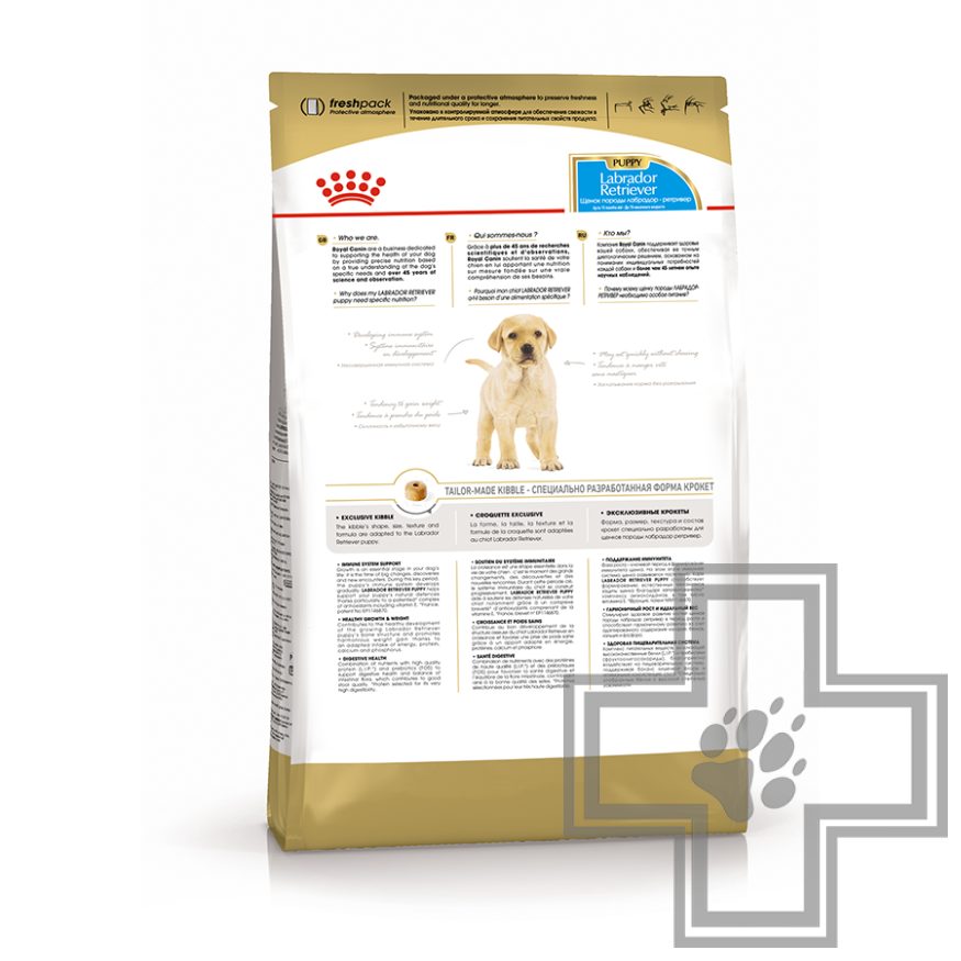 Royal Canin Labrador retriever Puppy Royal Canin Labrador retriever Puppy