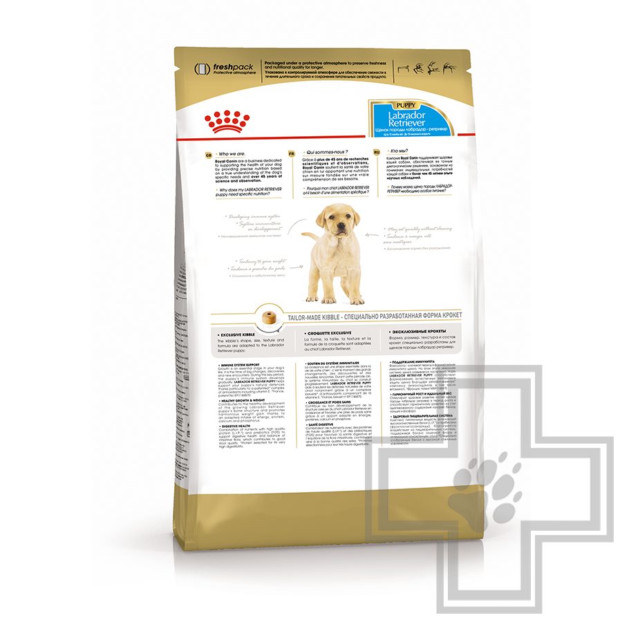 Royal Canin Labrador retriever Puppy