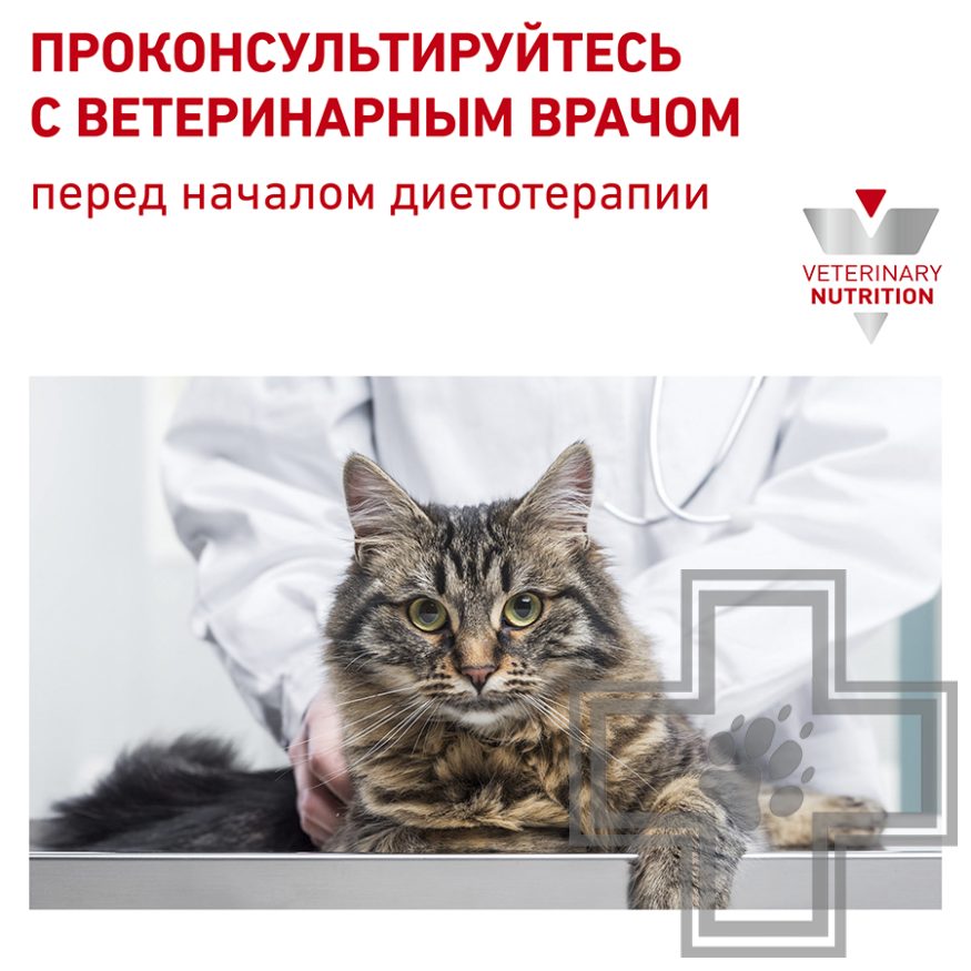 Royal Canin Urinary S/O Moderate Calorie