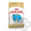 Royal Canin French Bulldog Puppy