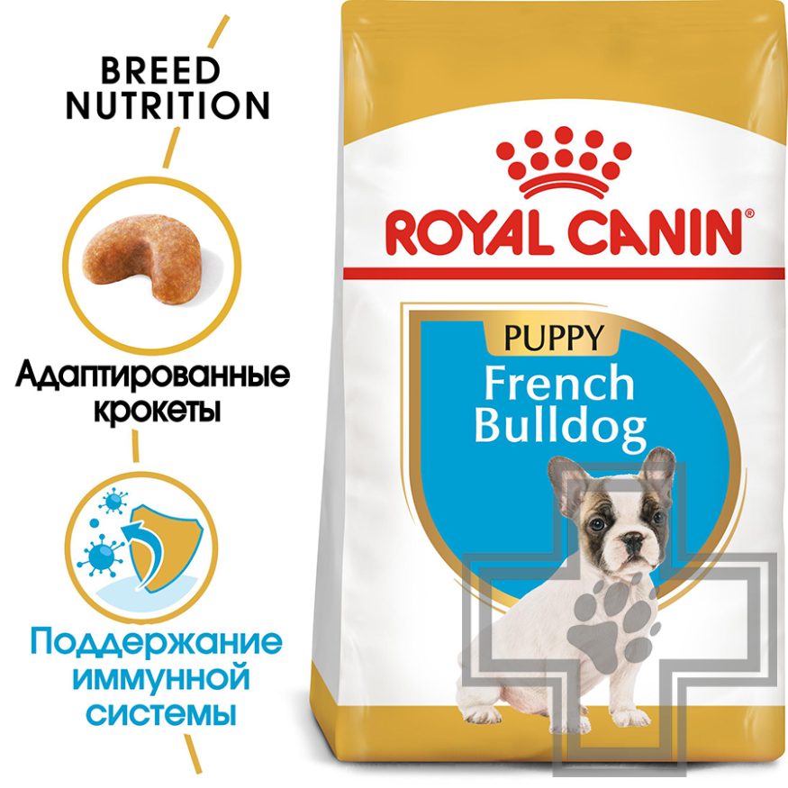 Royal Canin French Bulldog Puppy Royal Canin French Bulldog Puppy