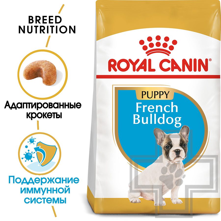 Royal Canin French Bulldog Puppy