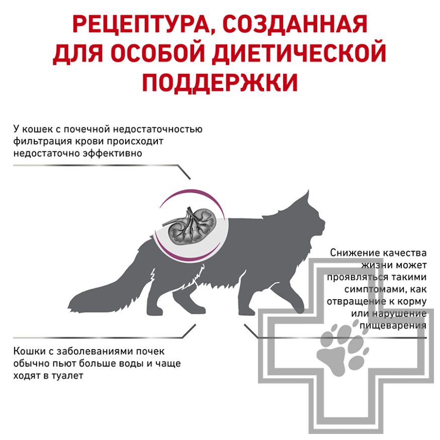 Royal Canin Renal Special Royal Canin Renal Special