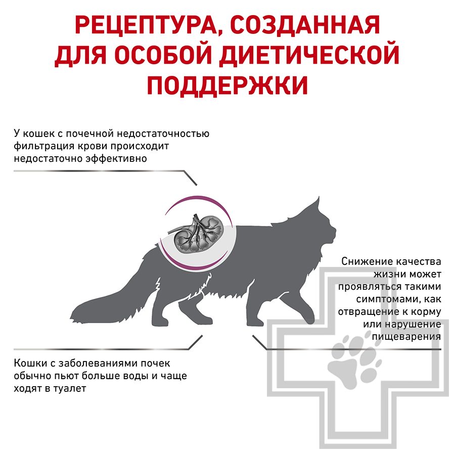 Royal Canin Renal Special