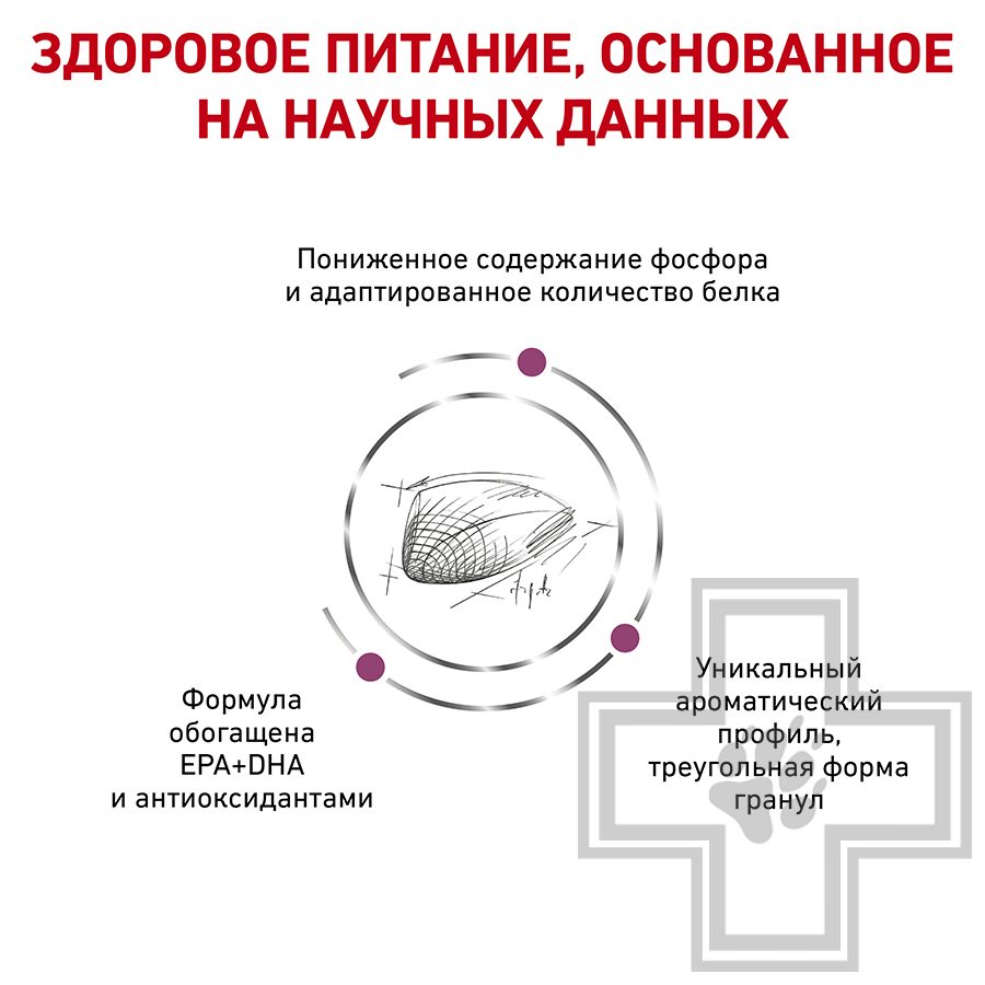 Royal Canin Renal Special