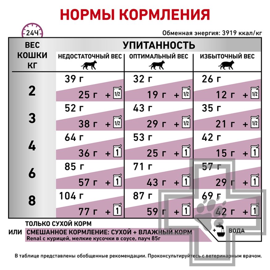 Royal Canin Renal Special Royal Canin Renal Special