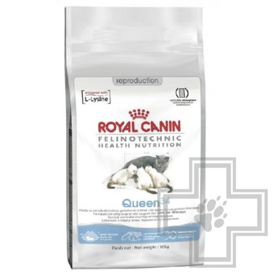 Royal Canin Queen 34