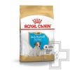 Royal Canin Jack Russell Terrier Puppy