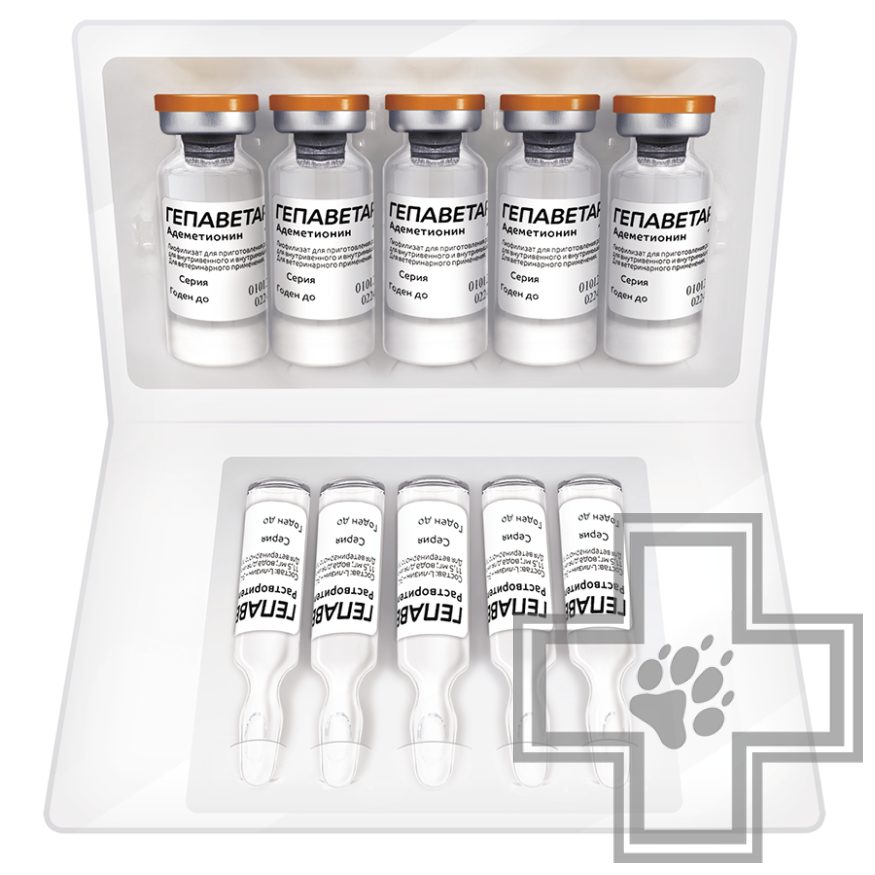 Гепаветариум Раствор для инъекций для собак и кошек Гепаветариум Раствор для инъекций для собак и кошек