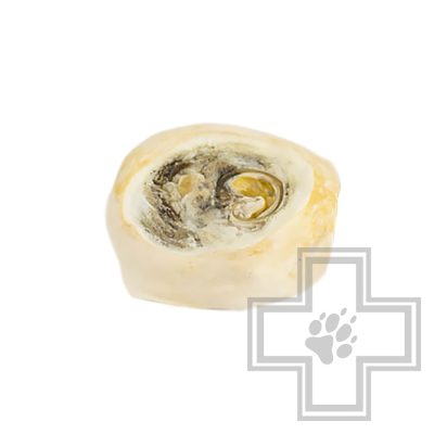 TiTBiT Ухо говяжье внутреннее (цена за одно ухо)