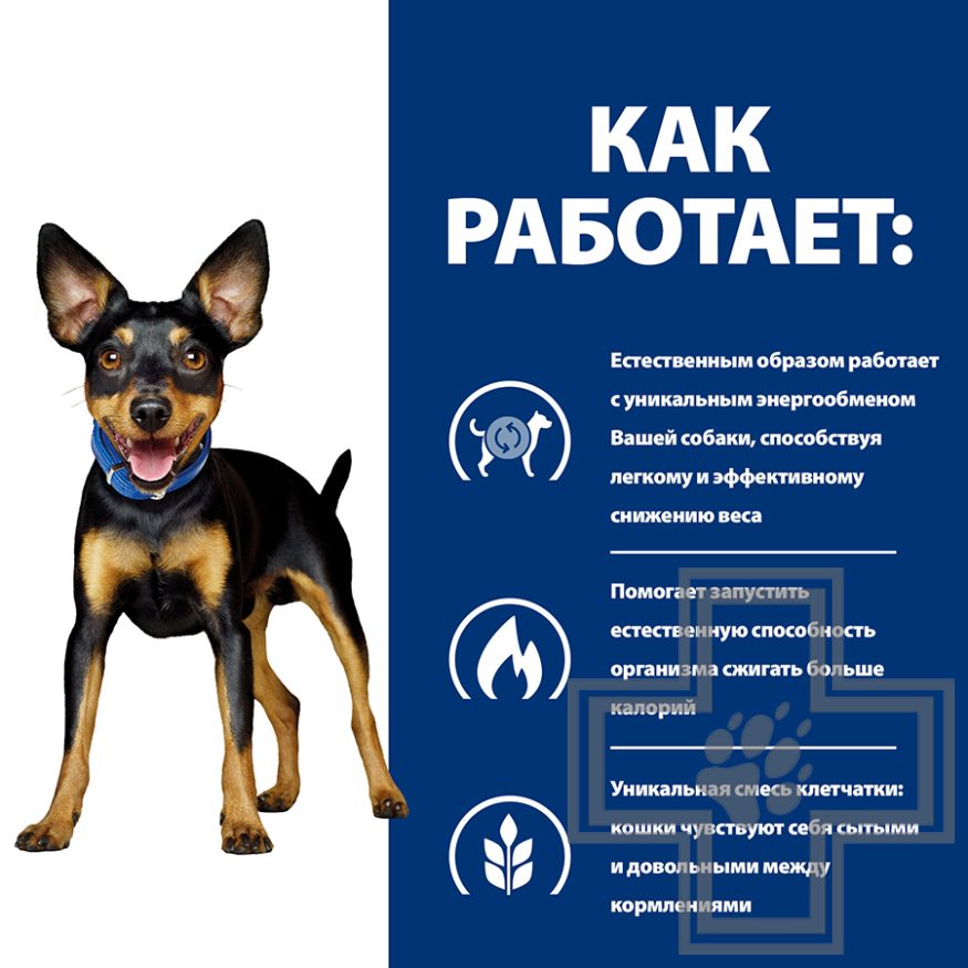 Hill's PD Metabolic Mini Корм-диета для собак мелких пород для снижения и поддержания веса,с курицей Hill's PD Metabolic Mini Корм-диета для собак мелких пород для снижения и поддержания веса,с курицей