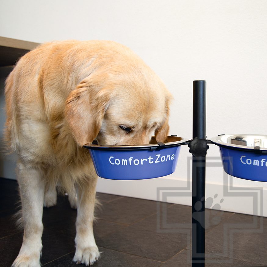 Beeztees Стойка с двумя мисками для собак, синяя Beeztees Стойка с двумя мисками для собак, синяя