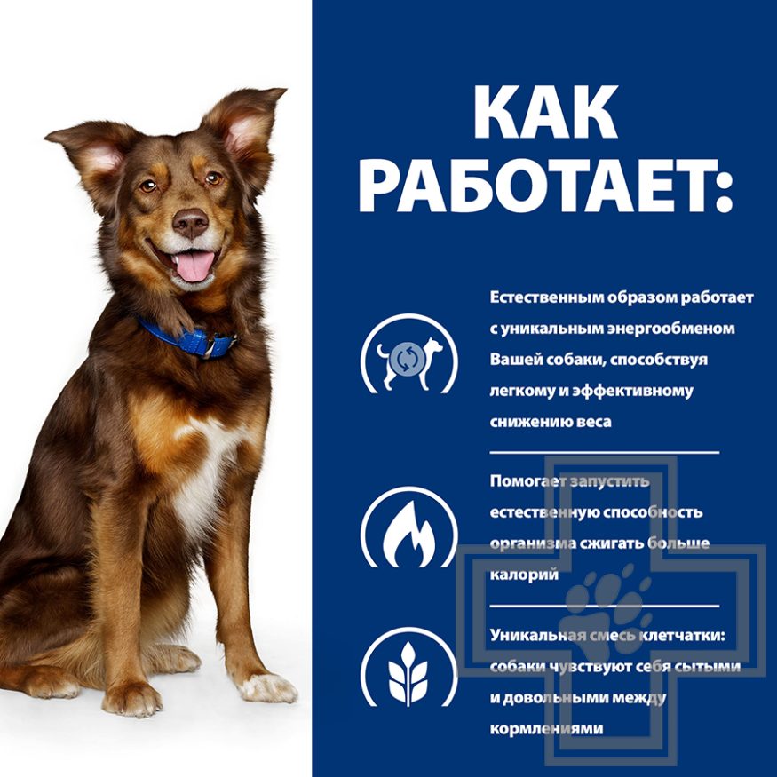 Hill's PD Metabolic Корм-диета для собак при избыточном весе и ожирении, с ягненком Hill's PD Metabolic Корм-диета для собак при избыточном весе и ожирении, с ягненком