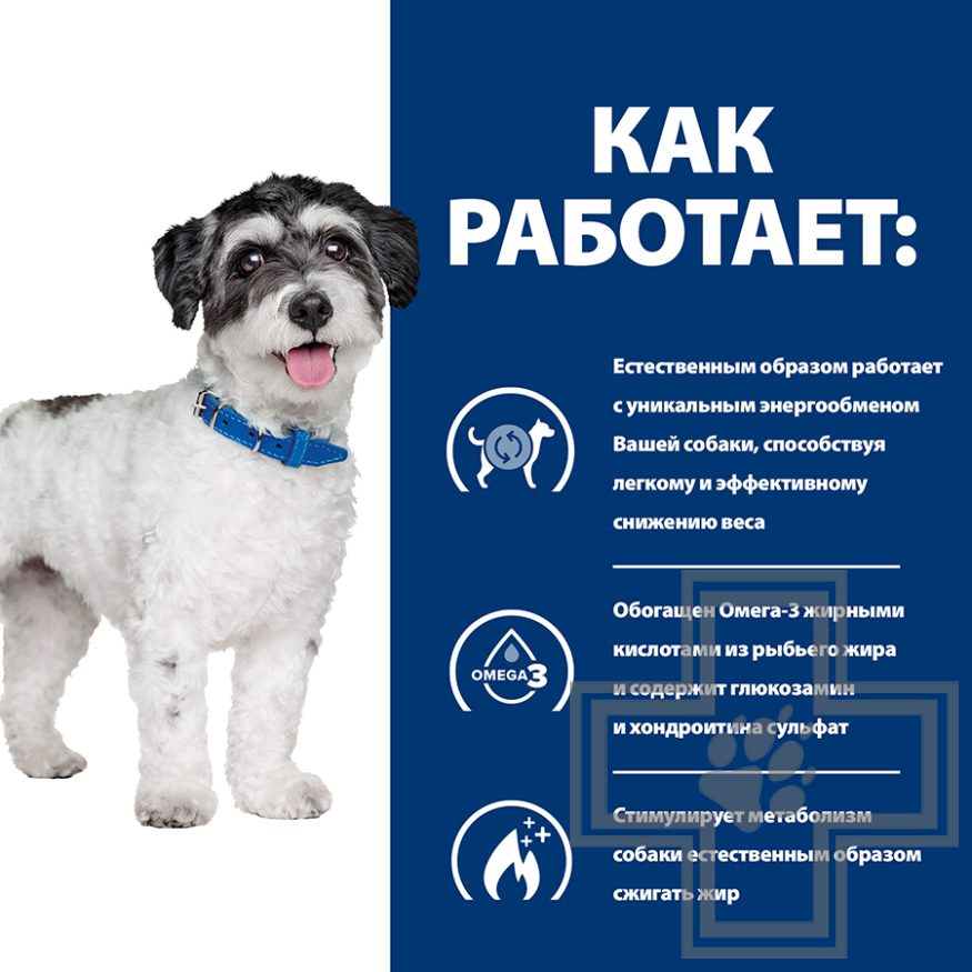 Hill's PD j/d Metabolic+Mobility Корм-диета для взрослых собак мелких пород при заболевании суставов Hill's PD j/d Metabolic+Mobility Корм-диета для взрослых собак мелких пород при заболевании суставов