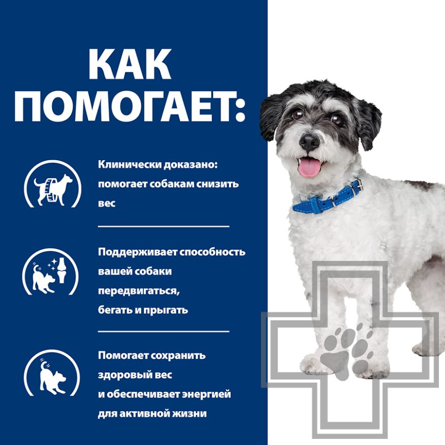 Hill's PD j/d Metabolic+Mobility Корм-диета для взрослых собак мелких пород при заболевании суставов Hill's PD j/d Metabolic+Mobility Корм-диета для взрослых собак мелких пород при заболевании суставов