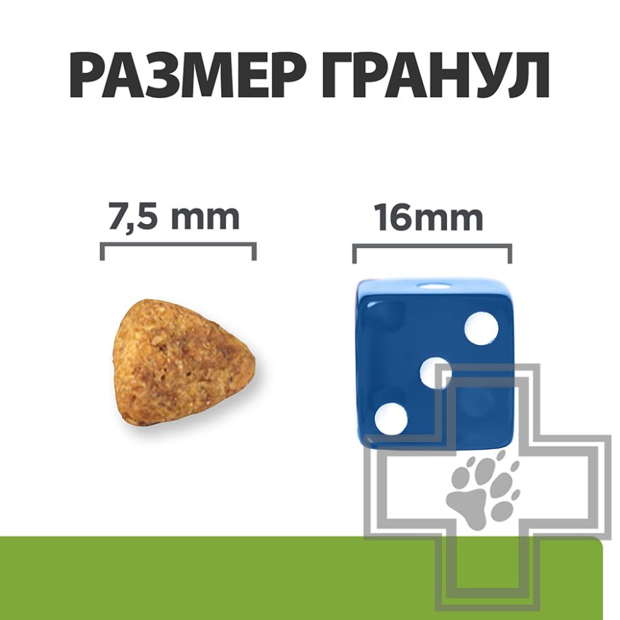 Hill's PD j/d Metabolic+Mobility Корм-диета для взрослых собак мелких пород при заболевании суставов Hill's PD j/d Metabolic+Mobility Корм-диета для взрослых собак мелких пород при заболевании суставов