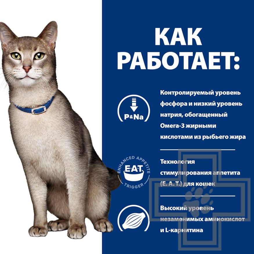 Hill's PD k/d Пресервы-диета для кошек при хронической болезни почек и болезнях сердца, с курицей Hill's PD k/d Пресервы-диета для кошек при хронической болезни почек и болезнях сердца, с курицей