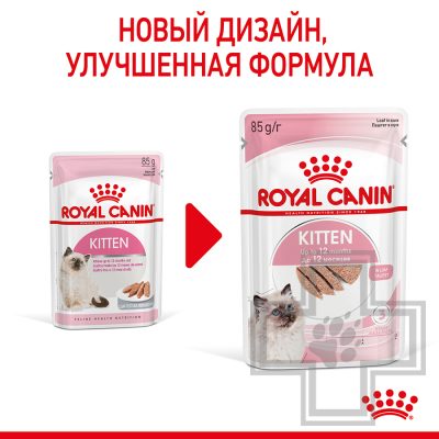 Royal Canin Kitten