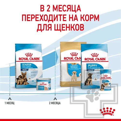 Royal Canin Maxi Starter