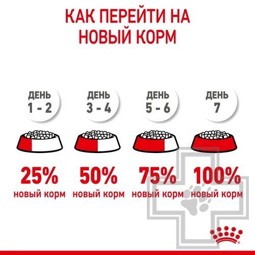 Royal Canin Maxi Starter Royal Canin Maxi Starter