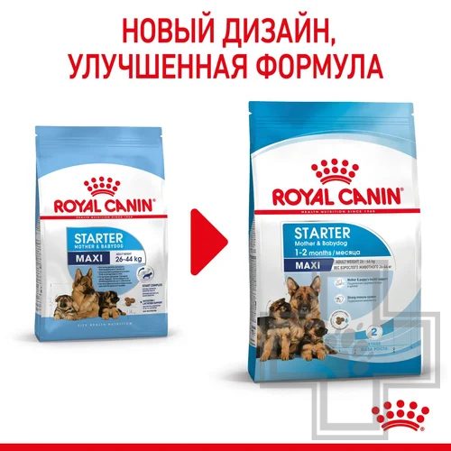 Royal Canin Maxi Starter