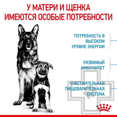 Royal Canin Maxi Starter