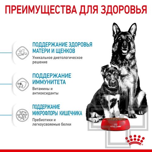 Royal Canin Maxi Starter