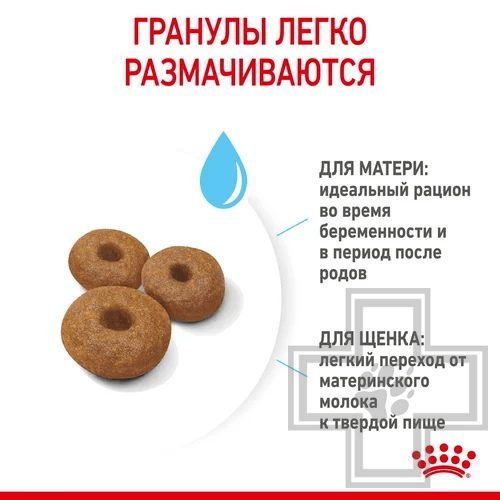 Royal Canin Maxi Starter Royal Canin Maxi Starter