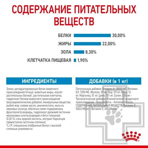 Royal Canin Maxi Starter Royal Canin Maxi Starter