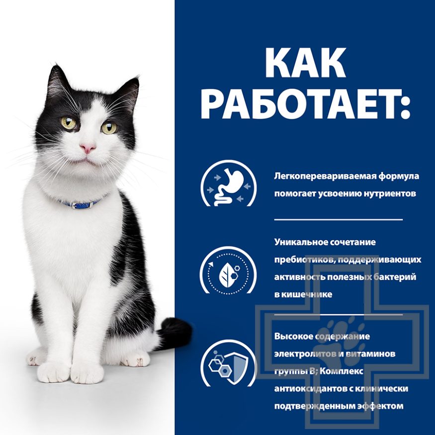 Hill's PD i/d Пресервы-диета для кошек для поддержания здоровья пищеварения, с лососем в соусе Hill's PD i/d Пресервы-диета для кошек для поддержания здоровья пищеварения, с лососем в соусе