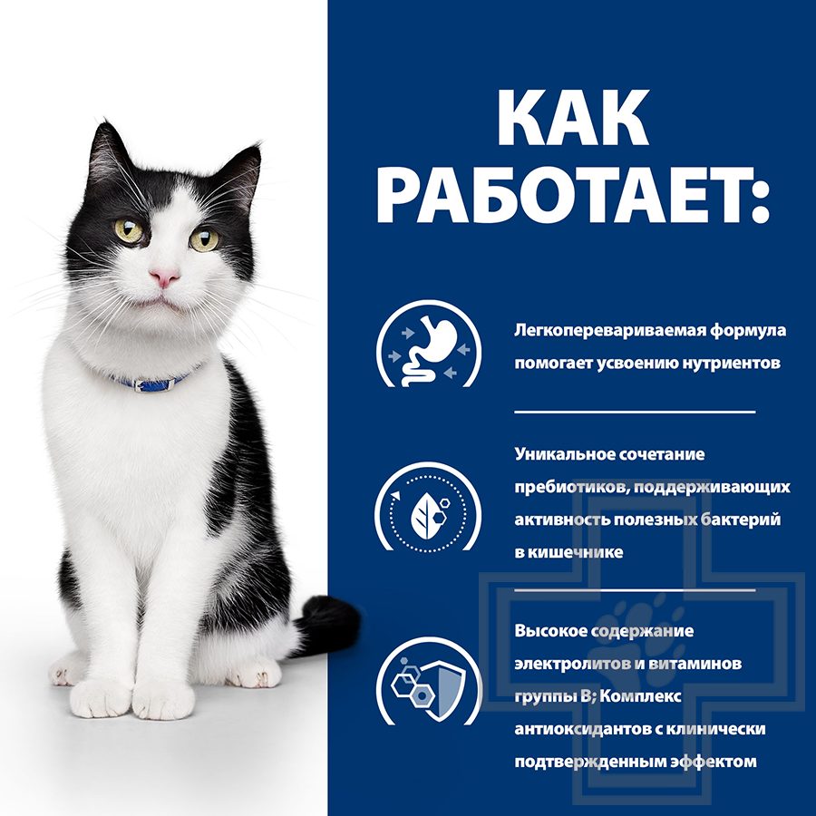 Hill's PD i/d Пресервы-диета для кошек для поддержания здоровья пищеварения, с лососем в соусе