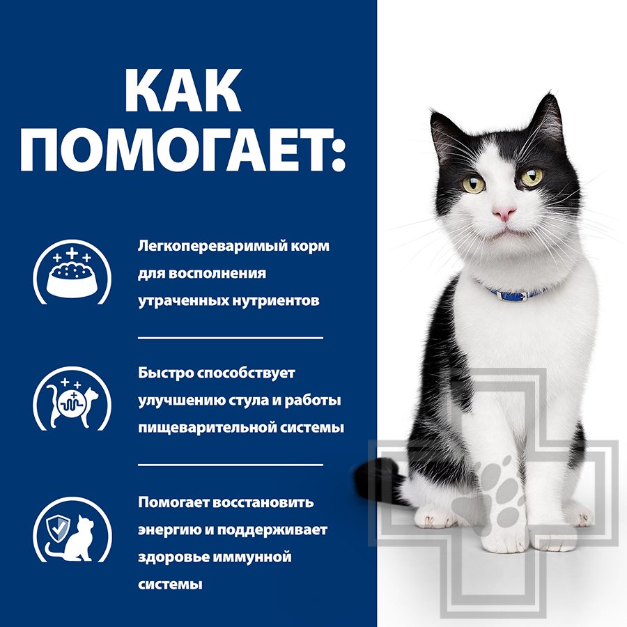 Hill's PD i/d Пресервы-диета для кошек для поддержания здоровья пищеварения, с лососем в соусе