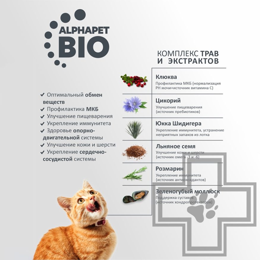AlphaPet Superpremium Корм для взрослых стерилизованных кошек и котов, с уткой и индейкой AlphaPet Superpremium Корм для взрослых стерилизованных кошек и котов, с уткой и индейкой