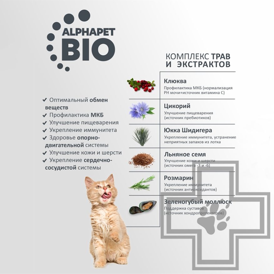 AlphaPet Superpremium Корм для котят, с цыпленком AlphaPet Superpremium Корм для котят, с цыпленком