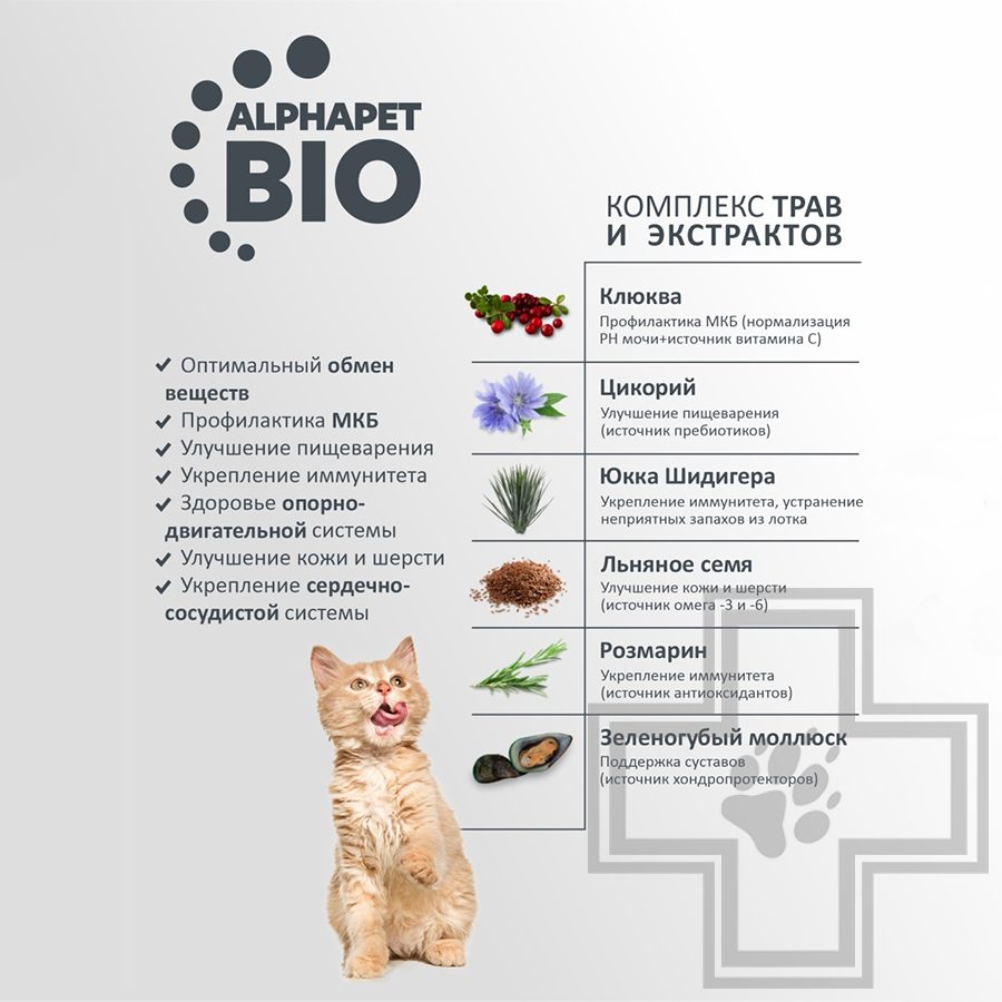 AlphaPet Superpremium Корм для котят, с цыпленком