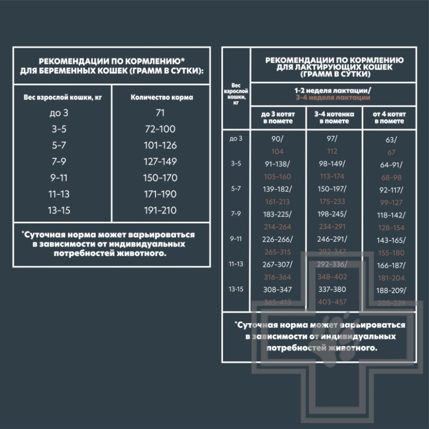 AlphaPet Superpremium Корм для котят, с цыпленком AlphaPet Superpremium Корм для котят, с цыпленком