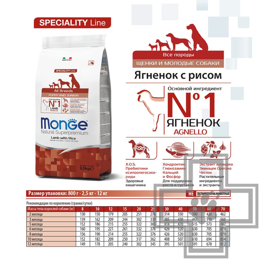Monge Speciality Puppy&Junior Корм для щенков всех пород, с ягненком и рисом Monge Speciality Puppy&Junior Корм для щенков всех пород, с ягненком и рисом