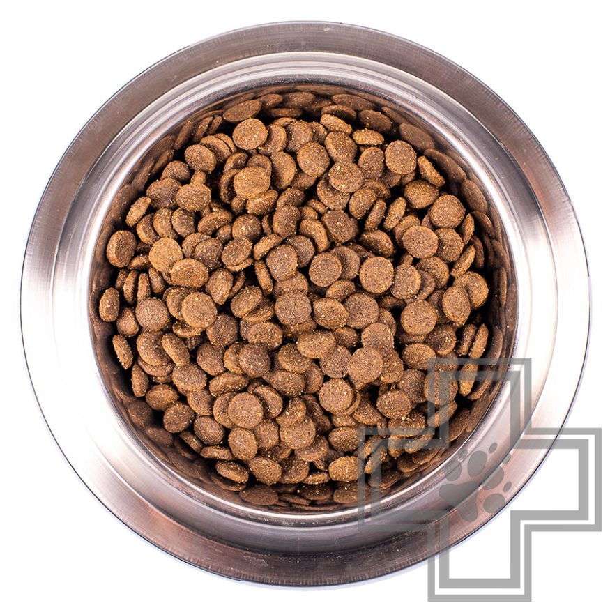 Monge Speciality Puppy&Junior Корм для щенков всех пород, с ягненком и рисом Monge Speciality Puppy&Junior Корм для щенков всех пород, с ягненком и рисом