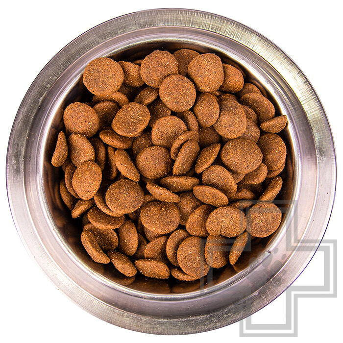 Monge Maxi Корм для взрослых собак крупных пород, с курицей Monge Maxi Корм для взрослых собак крупных пород, с курицей