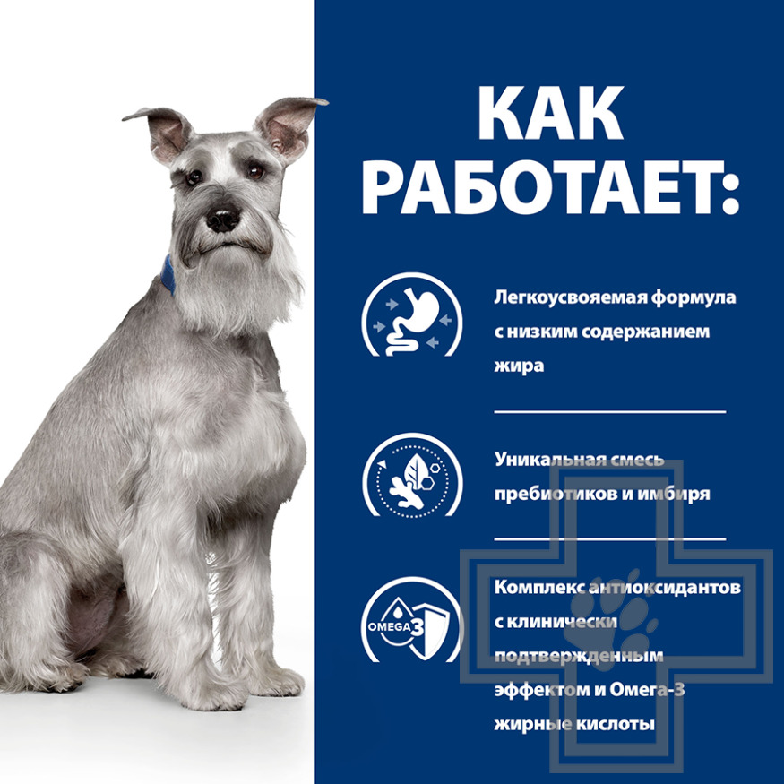 Hill's PD i/d Корм-диета для собак для поддержания здоровья пищеварения и поджелудочной железы Hill's PD i/d Корм-диета для собак для поддержания здоровья пищеварения и поджелудочной железы