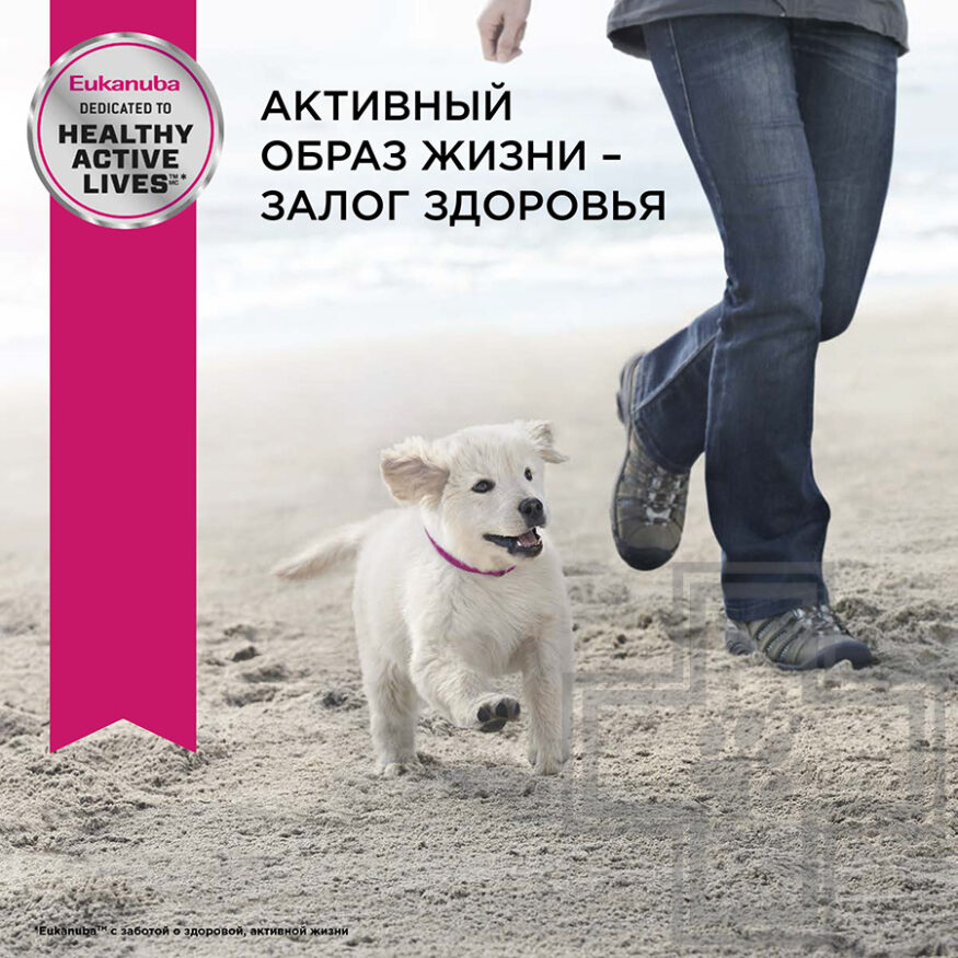 Eukanuba Puppy Large Breed Корм для щенков крупных пород, с птицей