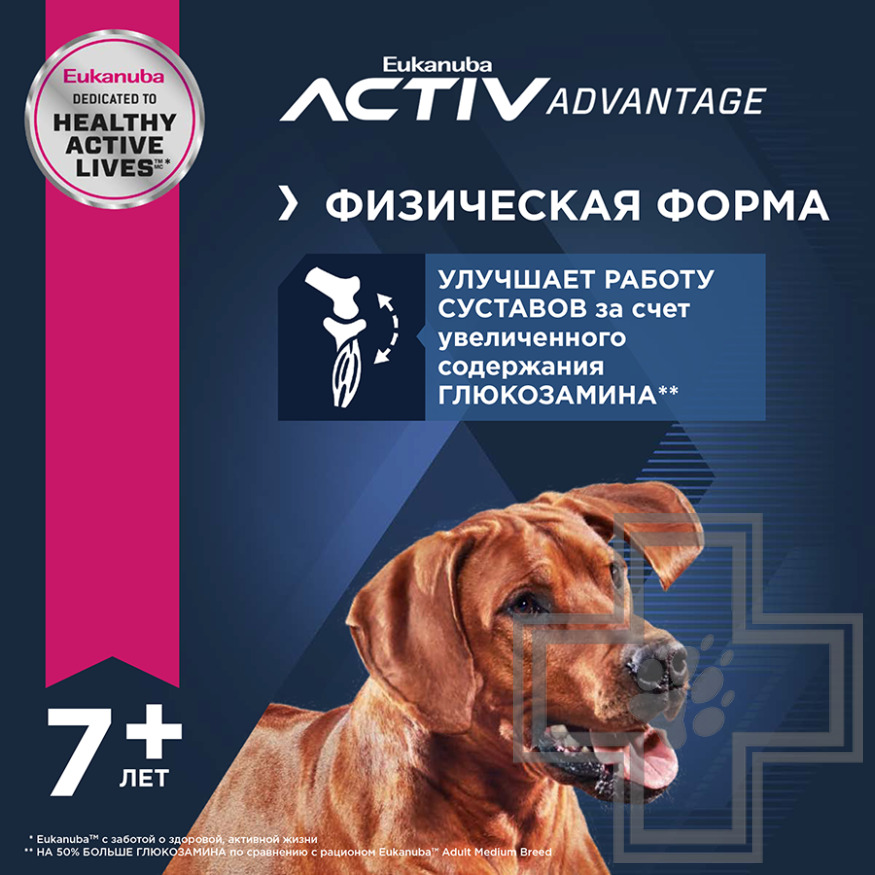 Eukanuba Senior 7+ Large Breed Корм для пожилых собак крупных и очень крупных пород, с птицей