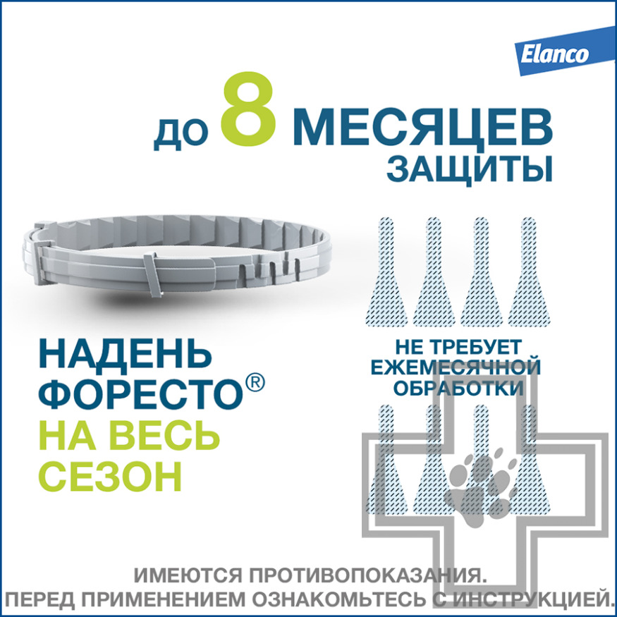 Foresto Ошейник от блох и клещей для собак (цена за 1 ошейник) Foresto Ошейник от блох и клещей для собак (цена за 1 ошейник)