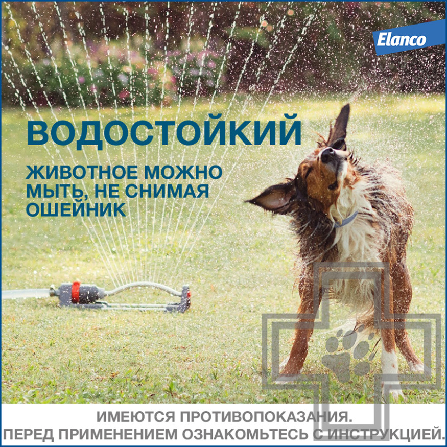 Foresto Ошейник от блох и клещей для собак (цена за 1 ошейник) Foresto Ошейник от блох и клещей для собак (цена за 1 ошейник)