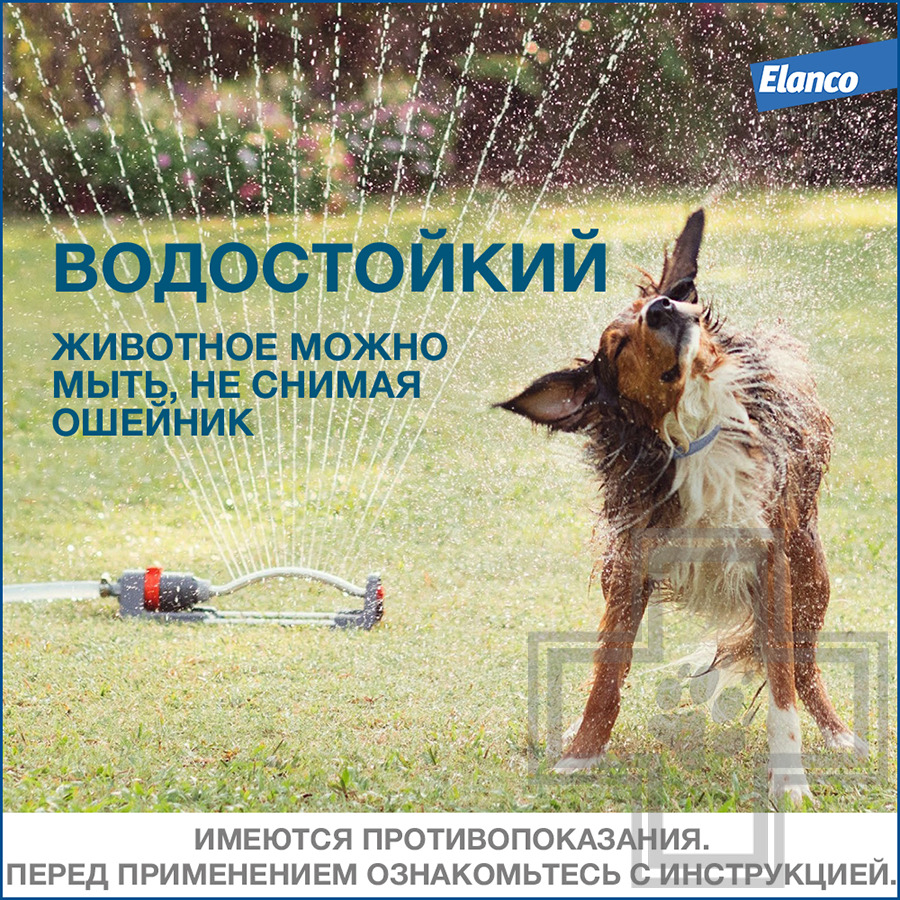 Foresto Ошейник от блох и клещей для собак (цена за 1 ошейник)