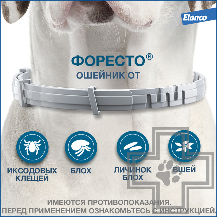 Foresto Ошейник от блох и клещей для собак (цена за 1 ошейник) Foresto Ошейник от блох и клещей для собак (цена за 1 ошейник)