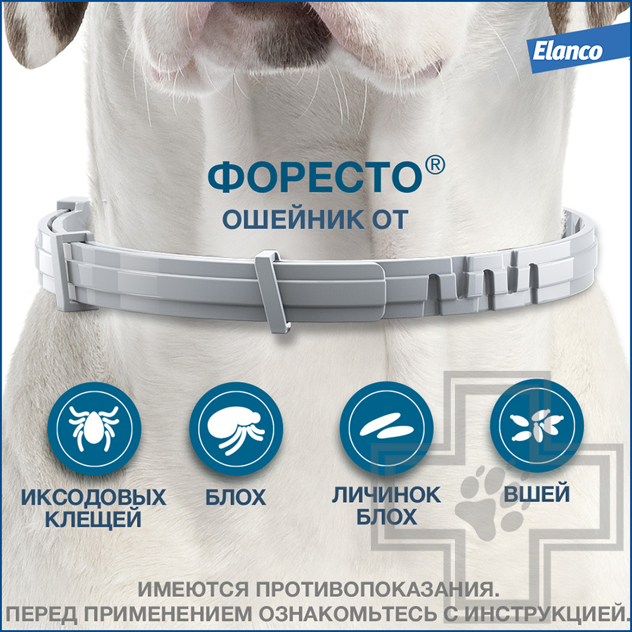Foresto Ошейник от блох и клещей для собак (цена за 1 ошейник)