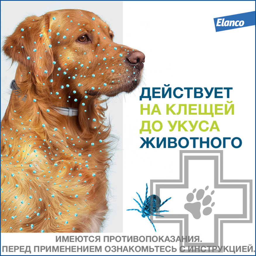 Foresto Ошейник от блох и клещей для собак (цена за 1 ошейник) Foresto Ошейник от блох и клещей для собак (цена за 1 ошейник)
