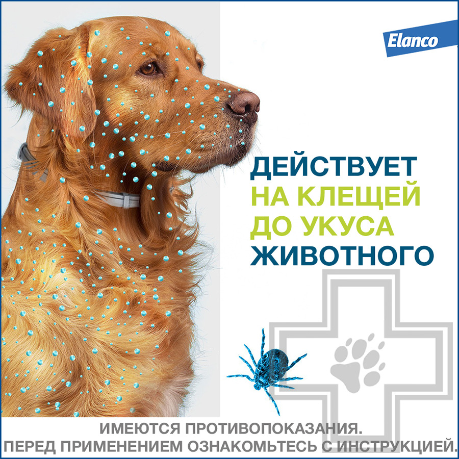 Foresto Ошейник от блох и клещей для собак (цена за 1 ошейник)