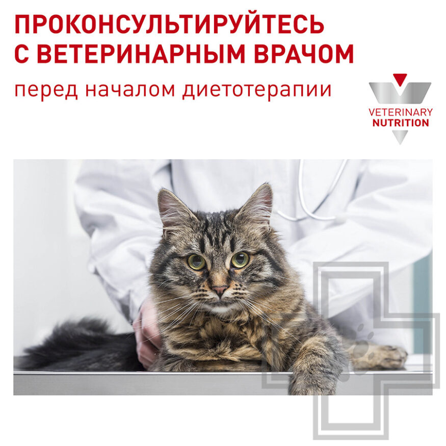 Royal Canin Dental Royal Canin Dental
